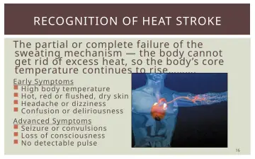 Slide 16: RECOGNITION OF HEAT STROKE