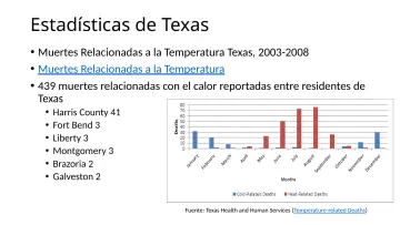 Slide 8: Estadísticas de Texas