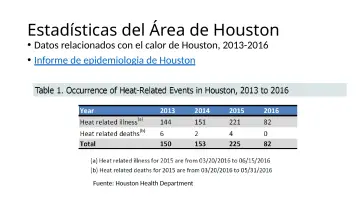 Slide 9: Estadísticas del Área de Houston