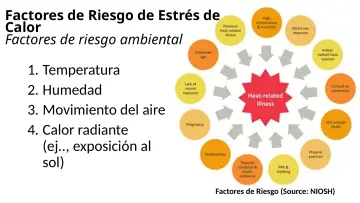 Slide 16: Factores de Riesgo de Estrés de Calor