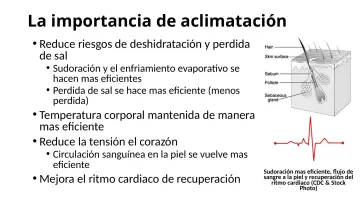 Slide 19: La importancia de aclimatación