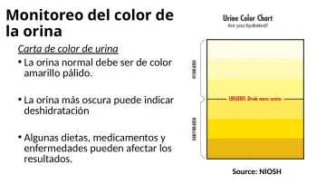 Slide 26: Monitoreo del color de la orina