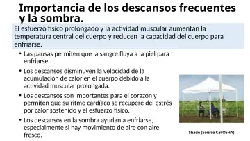 Slide 27: Importancia de los descansos frecuentes y la sombra.
