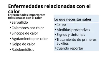 Slide 31: Enfermedades relacionadas con el calor
