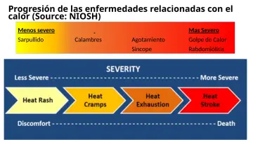 Slide 32: Progresión de las enfermedades relacionadas con el calor (Source: NIOSH)
