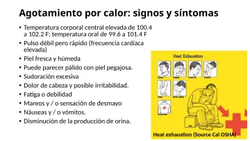 Slide 46: Agotamiento por calor: signos y síntomas
