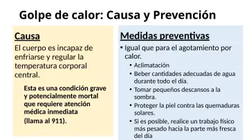 Slide 49: Golpe de calor: Causa y Prevención