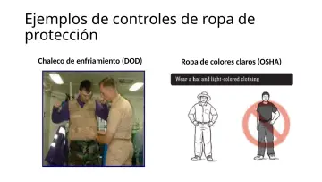 Slide 86: Ejemplos de controles de ropa de protección