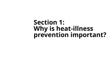 Slide 5: Section 1: