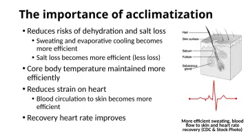 Slide 20: The importance of acclimatization