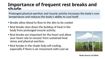 Slide 28: Importance of frequent rest breaks and shade