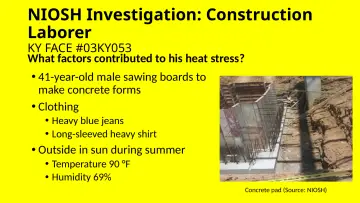Slide 29: NIOSH Investigation: Construction Laborer