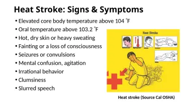 Slide 51: Heat Stroke: Signs & Symptoms
