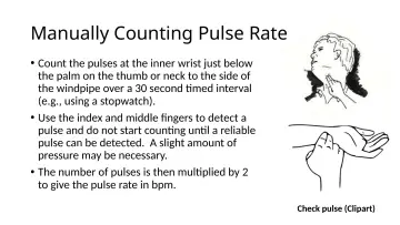 Slide 71: Manually Counting Pulse Rate