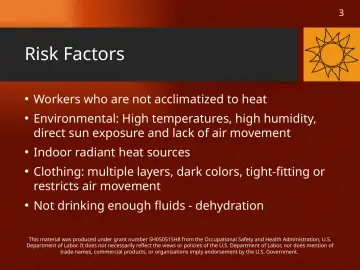 Slide 3: Risk Factors