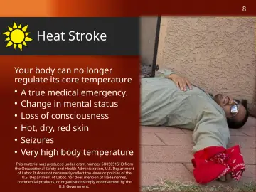 Slide 8: Heat Stroke