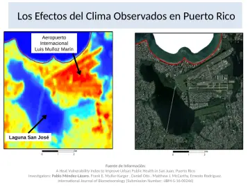 Slide 8: Los Efectos del Clima Observados en Puerto Rico