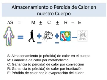 Slide 17: Almacenamiento o Pérdida de Calor en nuestro Cuerpo