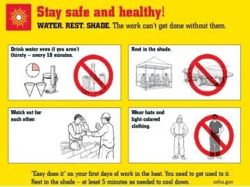 Slide 31: Stay safe and healthy