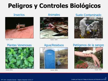 Slide 38: Peligros y Controles Biológicos