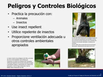 Slide 41: Peligros y Controles Biológicos