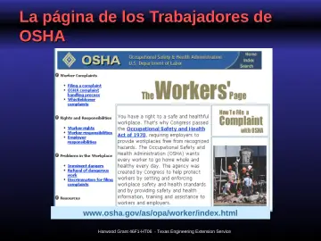 Slide 10: La página de los Trabajadores de OSHA