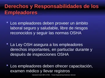 Slide 11: Derechos y Responsabilidades de los Empleadores