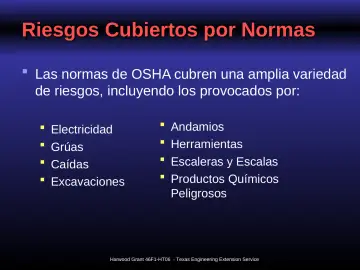 Slide 19: Riesgos Cubiertos por Normas