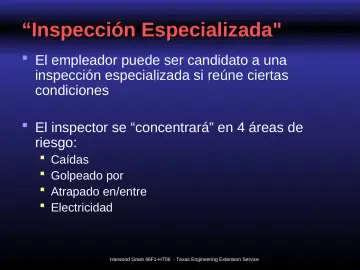 Slide 21: “Inspección Especializada"