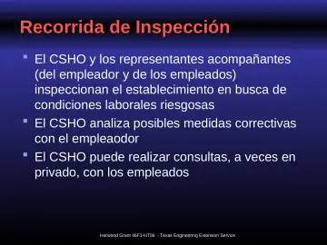 Slide 24: Recorrida de Inspección