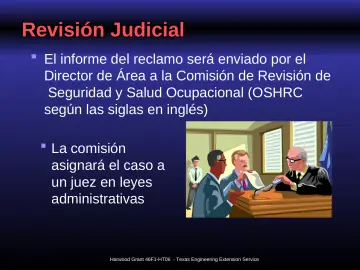 Slide 30: Revisión Judicial