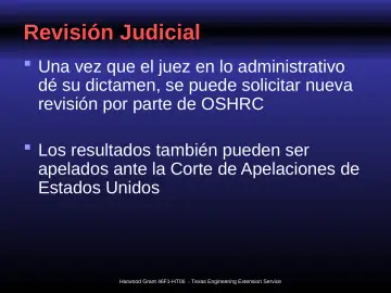 Slide 31: Revisión Judicial