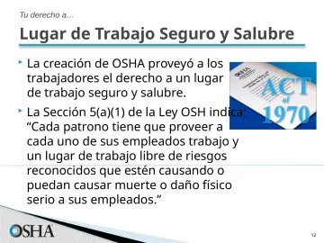 Slide 12: Lugar de Trabajo Seguro y Salubre