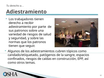 Slide 17: Adiestramiento