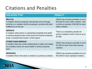Slide 24: VIOLATION TYPE