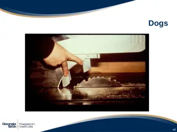 Slide 46: Dogs