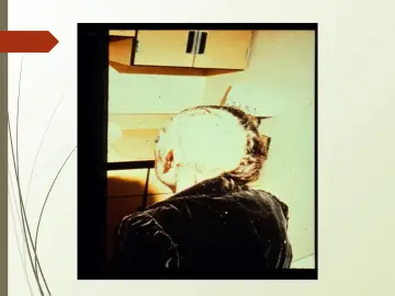 Slide 24: slide