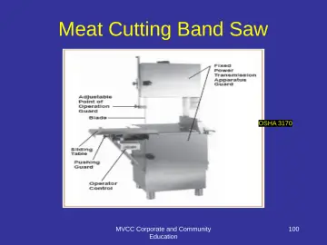 Slide 100: Meat Cutting Band Saw