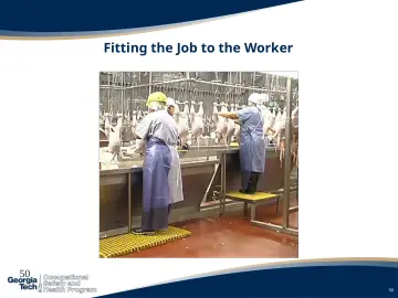 Slide 50: Fitting the Job to the Worker