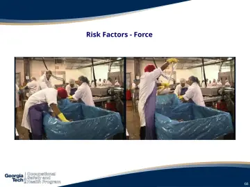 Slide 68: Risk Factors - Force