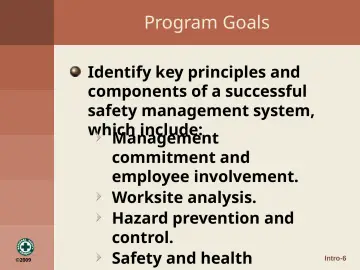 Slide 6: Program Goals