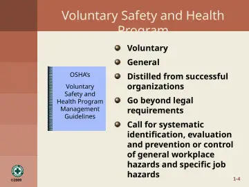 Slide 13: Voluntary Safety and Health Program