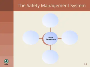 Slide 15: The Safety Management System