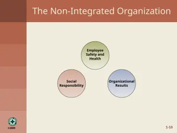 Slide 19: The Non-Integrated Organization