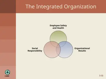 Slide 20: The Integrated Organization