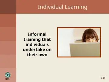 Slide 14: Individual Learning