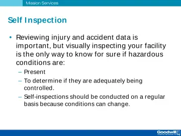 Slide 17: Self I nspection