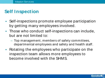 Slide 18: Self I nspection