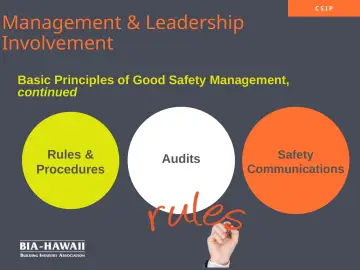 Slide 10: Management & Leadership Involvement