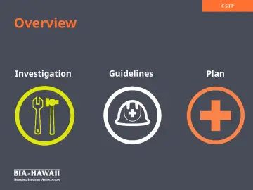 Slide 2: Overview